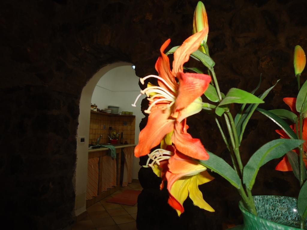 Agriturismo Zibibbodoro Scauri  Екстер'єр фото